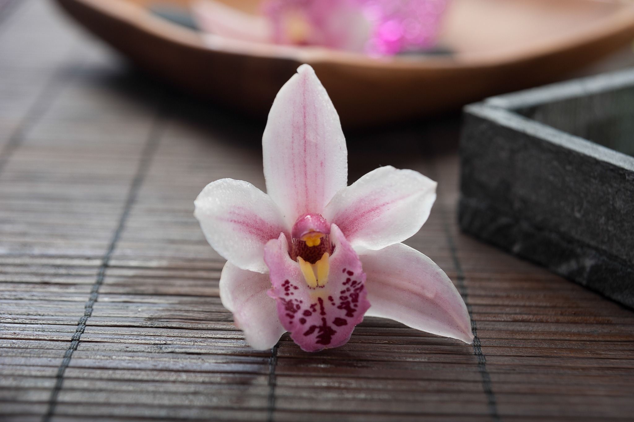 Orchid flower with white and pink petals resting on a bamboo mat, surrounded by soft natural light. The background includes a wooden bowl and a stone tray, creating a calm and serene atmosphere. No visible text. The overall mood is peaceful and elegant.